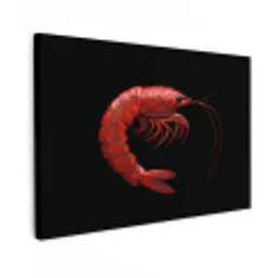 Garnaal - Rood - Dieren canvas 2cm klein -z3d