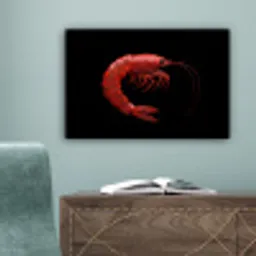 Garnaal - Rood - Dieren canvas 2cm klein -sfeer4