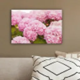 Struik - Bloemen - Roze - Hortensia canvas 2cm klein -sfeer3