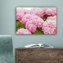 Struik - Bloemen - Roze - Hortensia canvas 2cm klein -sfeer4