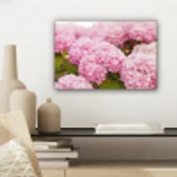 Struik - Bloemen - Roze - Hortensia canvas 2cm klein -sfeer6