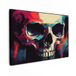 Schedel - Abstract - Rood - Blauw - Graffiti canvas 2cm klein -z3d