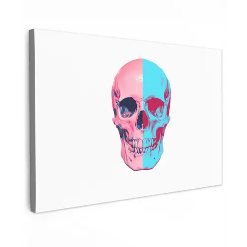 Schedel - Grafisch - Roze - Verdeeld canvas 2cm klein -z3d