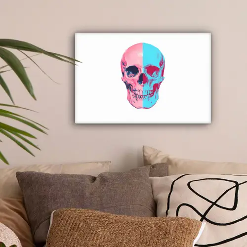 Schedel - Grafisch - Roze - Verdeeld canvas 2cm klein -sfeer1