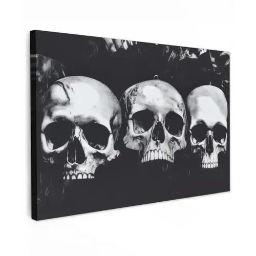 Schedels - Zwart - Contrast canvas 2cm klein -z3d