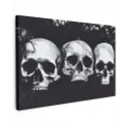 Schedels - Zwart - Contrast canvas 2cm klein -z3d