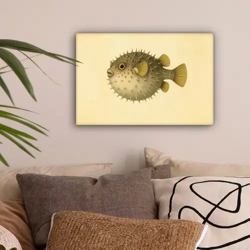 Stekels - Vis - Opgeblazen - Bruin canvas 2cm klein -sfeer1