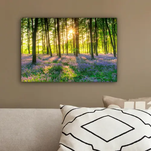Lente - Bos - Zon canvas 2cm klein -sfeer3