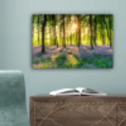 Lente - Bos - Zon canvas 2cm klein -sfeer4