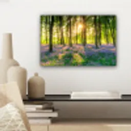 Lente - Bos - Zon canvas 2cm klein -sfeer6