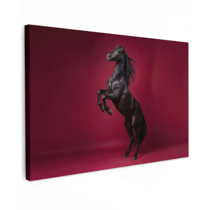 Hengst - Steigert - Rood canvas 2cm klein -z3d