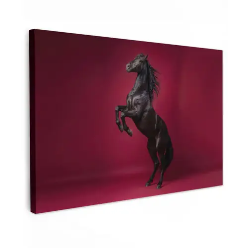 Hengst - Steigert - Rood canvas 2cm klein -z3d