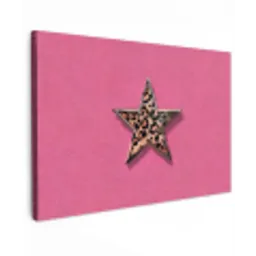 Ster - Luipaard - Print - Roze canvas 2cm klein -z3d