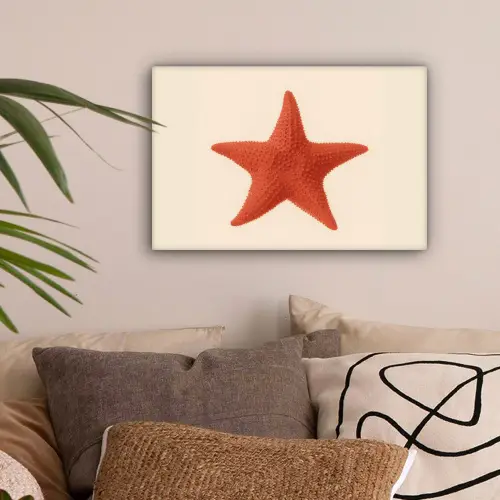 Zeester - Bobbels - Rood canvas 2cm klein -sfeer1
