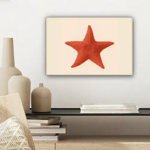 Zeester - Bobbels - Rood canvas 2cm klein -sfeer6