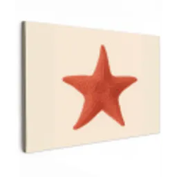 Zeester - Bobbels - Rood canvas 2cm klein -z3d