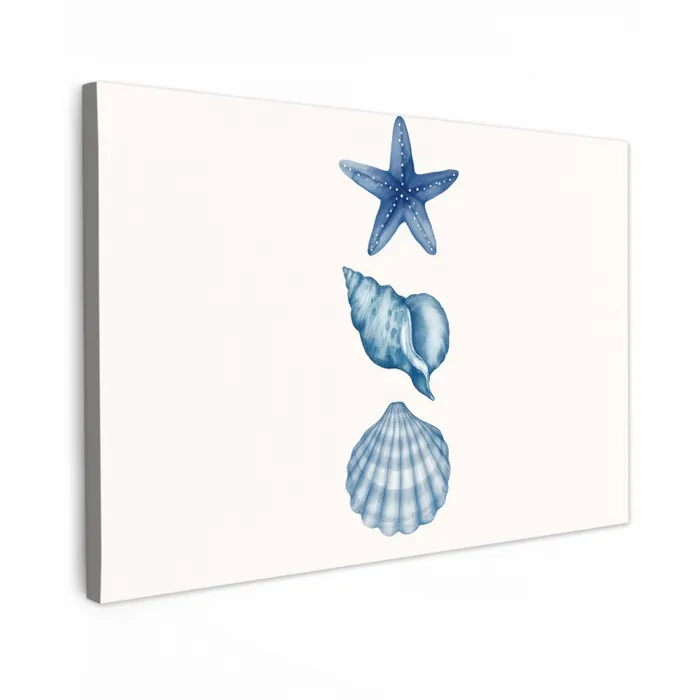 Zeester - Schelpen - Blauw canvas 2cm klein -z3d