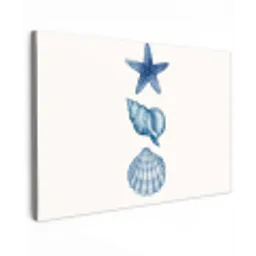 Zeester - Schelpen - Blauw canvas 2cm klein -z3d