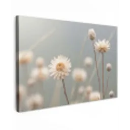 Strobloemen - Wit - Daglicht canvas 2cm klein -z3d