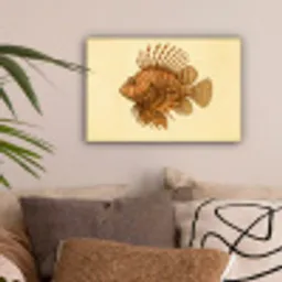 Strepen - Vis - Rond - Stekels canvas 2cm klein -sfeer1