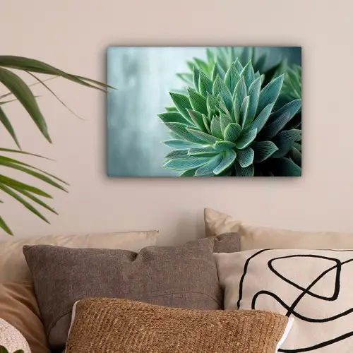 Vetplant - Bladeren - Groen - Wazig canvas 2cm klein -sfeer1