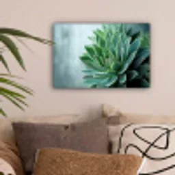 Vetplant - Bladeren - Groen - Wazig canvas 2cm klein -sfeer1