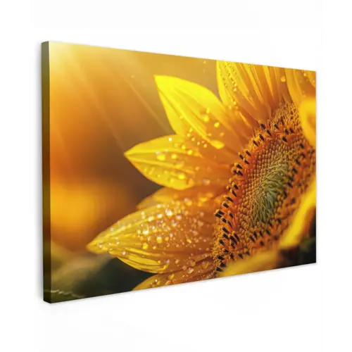 Zonnebloem - Dauwdruppels - Geel - Zonlicht canvas 2cm klein -z3d