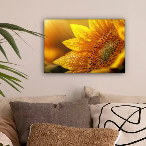 Zonnebloem - Dauwdruppels - Geel - Zonlicht canvas 2cm klein -sfeer1