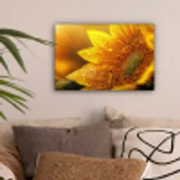 Zonnebloem - Dauwdruppels - Geel - Zonlicht canvas 2cm klein -sfeer1