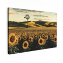 Zonnebloem - Veld - Windmolen canvas 2cm klein -z3d