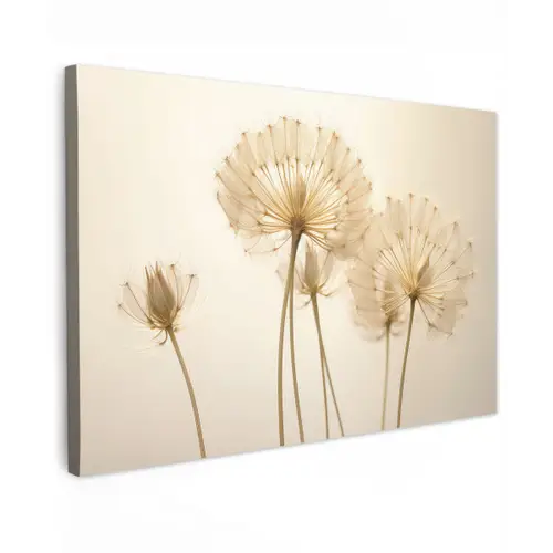 Zonlicht - Dandelion - Bloem - Wit canvas 2cm klein -z3d