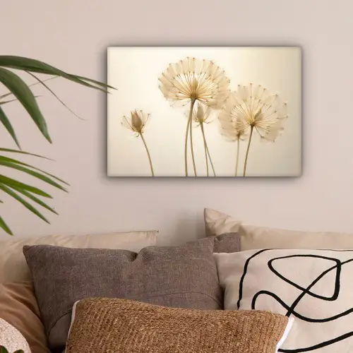 Zonlicht - Dandelion - Bloem - Wit canvas 2cm klein -sfeer1