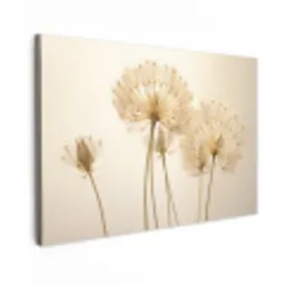 Zonlicht - Dandelion - Bloem - Wit canvas 2cm klein -z3d