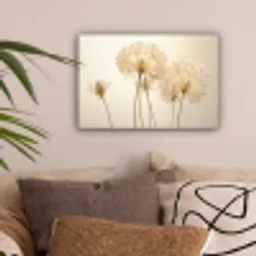 Zonlicht - Dandelion - Bloem - Wit canvas 2cm klein -sfeer1