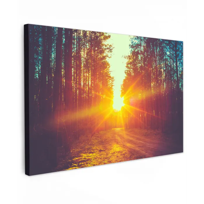 Zonsondergang - Bomen - Bos - Natuur canvas 2cm klein -z3d
