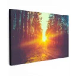 Zonsondergang - Bomen - Bos - Natuur canvas 2cm klein -z3d