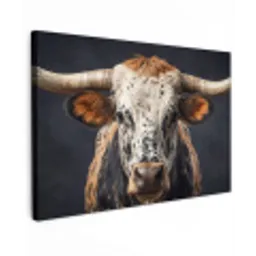 Stier - Kleurrijk - Hoorns canvas 2cm klein -z3d