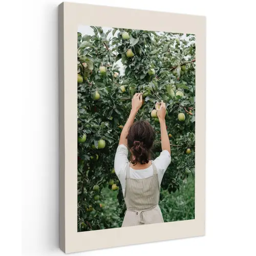 Boom - Appels - Plukken - Natuur canvas 2cm klein -z3d