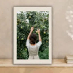 Boom - Appels - Plukken - Natuur canvas 2cm klein -sfeer1