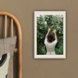 Boom - Appels - Plukken - Natuur canvas 2cm klein -sfeer3
