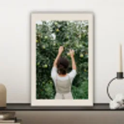 Boom - Appels - Plukken - Natuur canvas 2cm klein -sfeer6