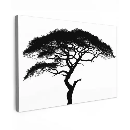 Boom - Zwart - Wit - Modern canvas 2cm klein -z3d