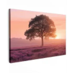 Boom - Heide - Zonsopgang canvas 2cm klein -z3d