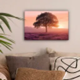 Boom - Heide - Zonsopgang canvas 2cm klein -sfeer1