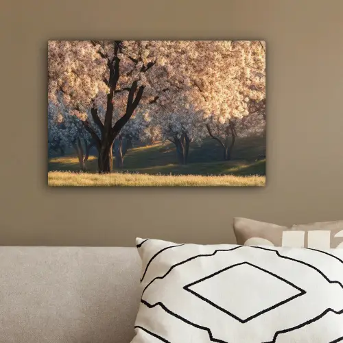 Bomen - Bloesem - Lente canvas 2cm klein -sfeer3