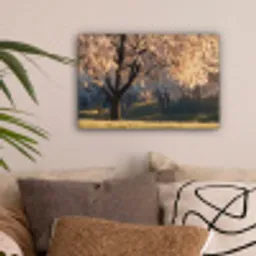 Bomen - Bloesem - Lente canvas 2cm klein -sfeer1