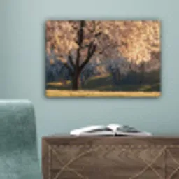Bomen - Bloesem - Lente canvas 2cm klein -sfeer4
