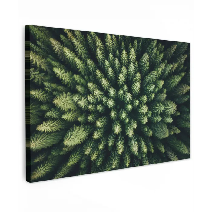 Bomen - Naaldwoud - Structuur canvas 2cm klein -z3d