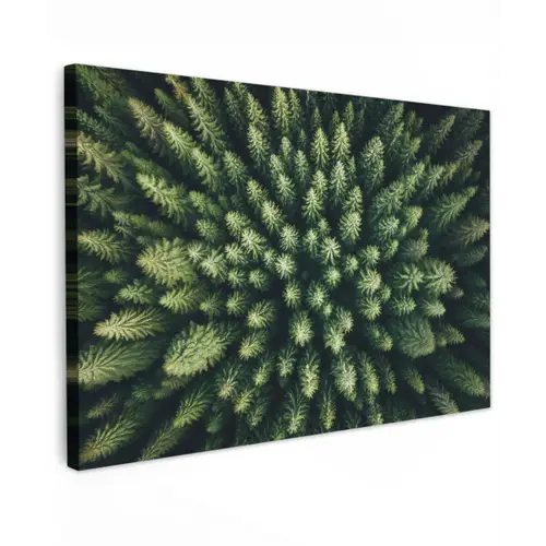 Bomen - Naaldwoud - Structuur canvas 2cm klein -z3d