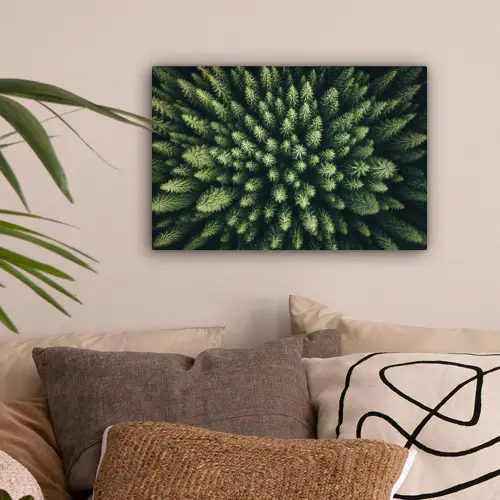 Bomen - Naaldwoud - Structuur canvas 2cm klein -sfeer1